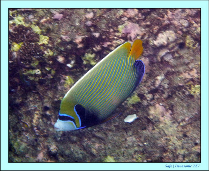 2012 - 03 - Koh Ha 38